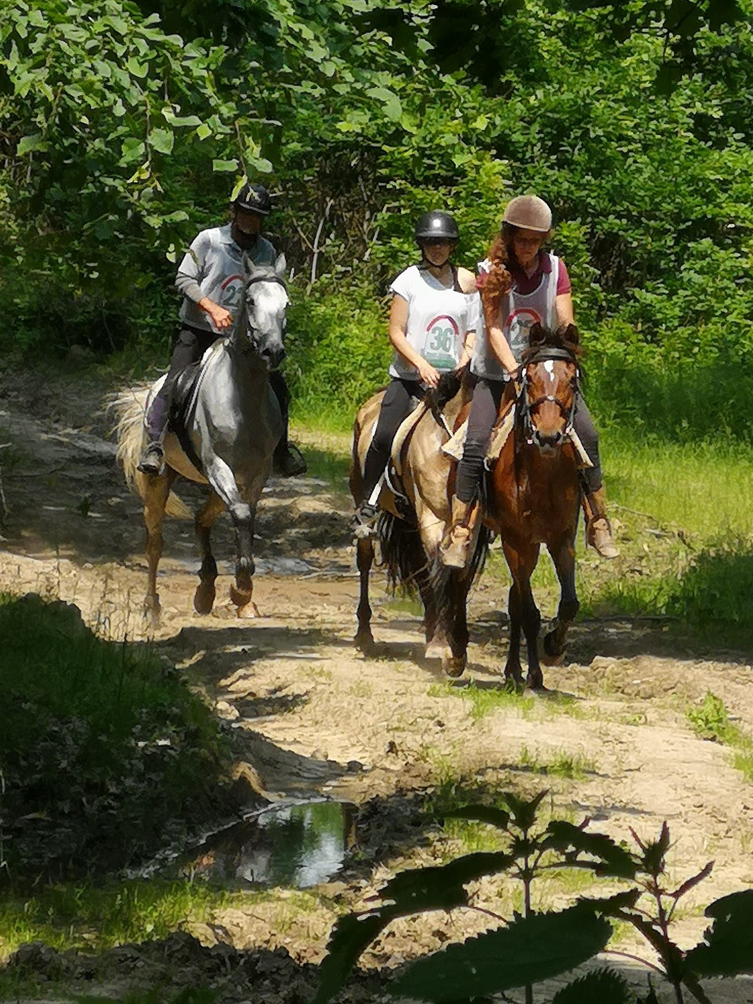 348375800 928367058444636 7563216098435743387 n