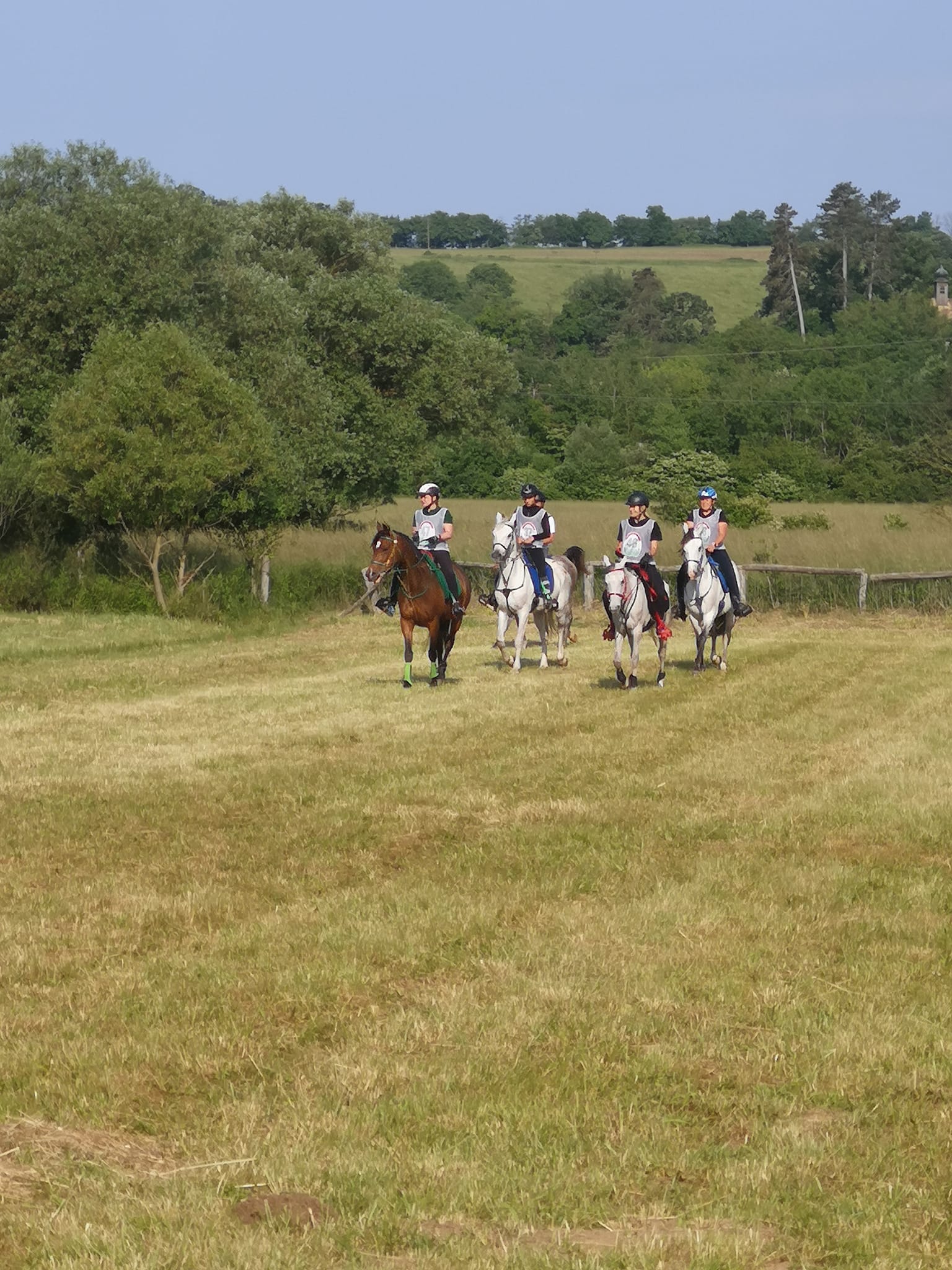 348942827 597907435461650 7026164403591982214 n